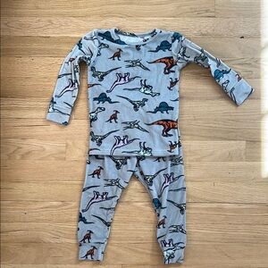 Dinosaur Print Kids Pajamas - Gray